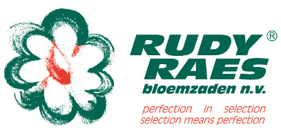 RUDY REAS